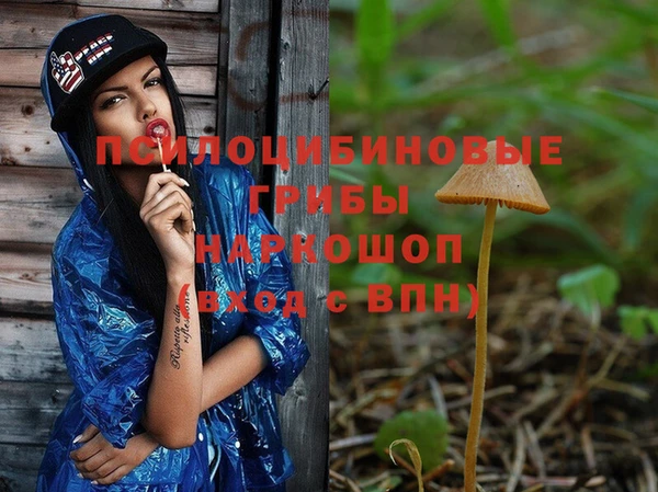 спиды Саяногорск