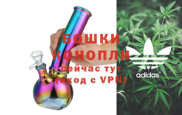 амф Арсеньев